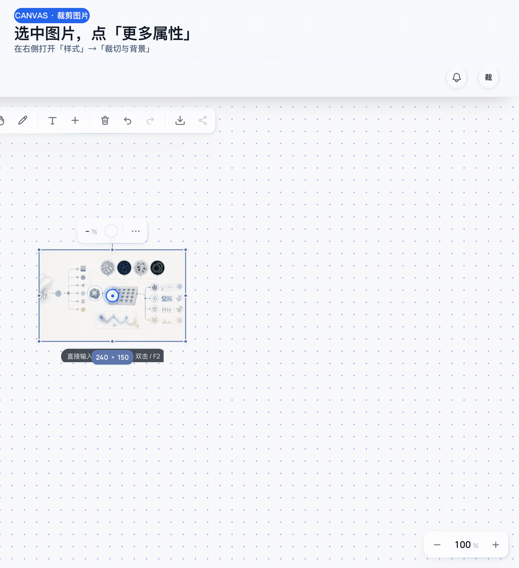 真实操作演示：选中图片，点击更多属性，打开右侧样式中的裁切与背景，调整取景并选择四比三比例，检查预览后点击应用
